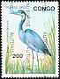 Black-headed Heron Ardea melanocephala