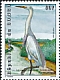 Great Egret Ardea alba