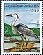 Grey Heron Ardea cinerea  2001 Herons and storks 