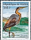 Purple Heron Ardea purpurea