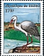 White Stork Ciconia ciconia