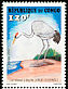Common Crane Grus grus  2002 Birds 