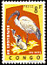 African Sacred Ibis Threskiornis aethiopicus