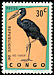African Openbill Anastomus lamelligerus  1963 Protected birds 