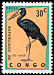 African Openbill Anastomus lamelligerus