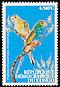 Golden-shouldered Parrot Psephotellus chrysopterygius  2000 Parrots 