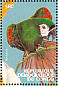 Chestnut-fronted Macaw Ara severus  2000 Parrots Sheet