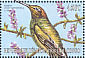 Sword-billed Hummingbird Ensifera ensifera  2000 Hummingbirds Sheet
