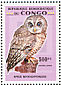 African Wood Owl Strix woodfordii  2007 Owls  MS MS
