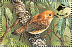 Rarotonga Monarch Pomarea dimidiata  1990 Birdpex 90  MS