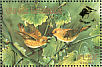 Rarotonga Monarch Pomarea dimidiata  1990 Birdpex 90  MS MS