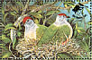 Lilac-crowned Fruit Dove Ptilinopus rarotongensis  1990 Birdpex 90  MS MS MS