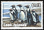 African Penguin Spheniscus demersus  1992 Endangered wildlife 