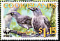 Rarotonga Starling Aplonis cinerascens