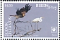 Great Egret Ardea alba  2018 Birds of prey White frames