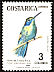 Lesser Violetear Colibri cyanotus  1984 Birds 