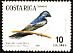 Blue-and-white Swallow Pygochelidon cyanoleuca  1984 Birds 