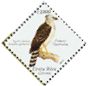Crested Eagle Morphnus guianensis