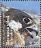 Eleonora's Falcon Falco eleonorae  2011 Croatian fauna Booklet