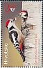 Middle Spotted Woodpecker Dendrocoptes medius  2021 Woodpeckers, joint stamp issue between Kyrgyzstan and Croatia 