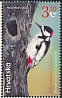 White-winged Woodpecker Dendrocopos leucopterus  2021 Woodpeckers, joint stamp issue between Kyrgyzstan and Croatia 