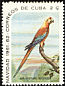 Cuban Macaw Ara tricolor †  1961 Christmas 