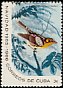 Blackburnian Warbler Setophaga fusca  1965 Christmas 
