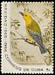 Prothonotary Warbler Protonotaria citrea  1965 Christmas 