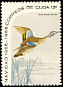 Blue-winged Teal Spatula discors  1965 Christmas 
