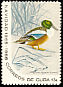 Northern Shoveler Spatula clypeata  1965 Christmas 