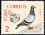 Rock Dove Columba livia  1966 Pigeon-breeding 7v set