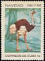 Common Ostrich Struthio camelus  1967 Christmas 
