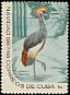 Black Crowned Crane Balearica pavonina  1967 Christmas 