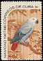 Grey Parrot Psittacus erithacus  1967 Christmas 