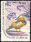 Mandarin Duck Aix galericulata  1967 Christmas 