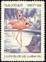 American Flamingo Phoenicopterus ruber  1967 Christmas 