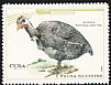 Helmeted Guineafowl Numida meleagris  1970 Wildlife 7v set