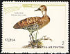 West Indian Whistling Duck Dendrocygna arborea