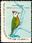 Cuban Green Woodpecker Xiphidiopicus percussus  1970 Christmas 