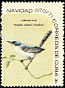 Cuban Gnatcatcher Polioptila lembeyei