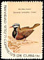 Blue-headed Quail-Dove Starnoenas cyanocephala  1970 Christmas 