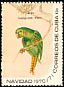 Cuban Parakeet Psittacara euops