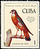 American Kestrel Falco sparverius  1971 Ramon de la Sagra 