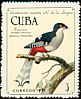 Cuban Trogon Priotelus temnurus