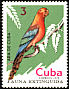 Cuban Macaw Ara tricolor †  1974 Extinct birds 