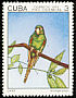 Cuban Parakeet Psittacara euops  1975 Endemic birds 