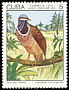 Blue-headed Quail-Dove Starnoenas cyanocephala  1975 Endemic birds 