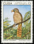 Cuban Kite Chondrohierax wilsonii  1975 Endemic birds 