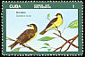 Oriente Warbler Teretistris fornsi  1976 Endemic birds 