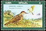 Fernandina's Flicker Colaptes fernandinae  1976 Endemic birds 